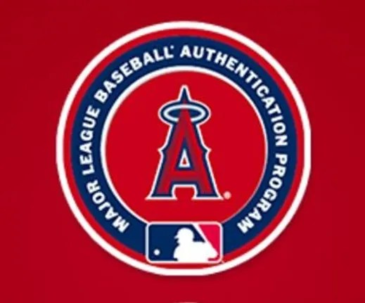 Alt Image Attribute